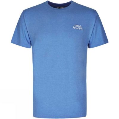 Tee Weird Fish Bones Hombre - Azules - Chile FWV324689